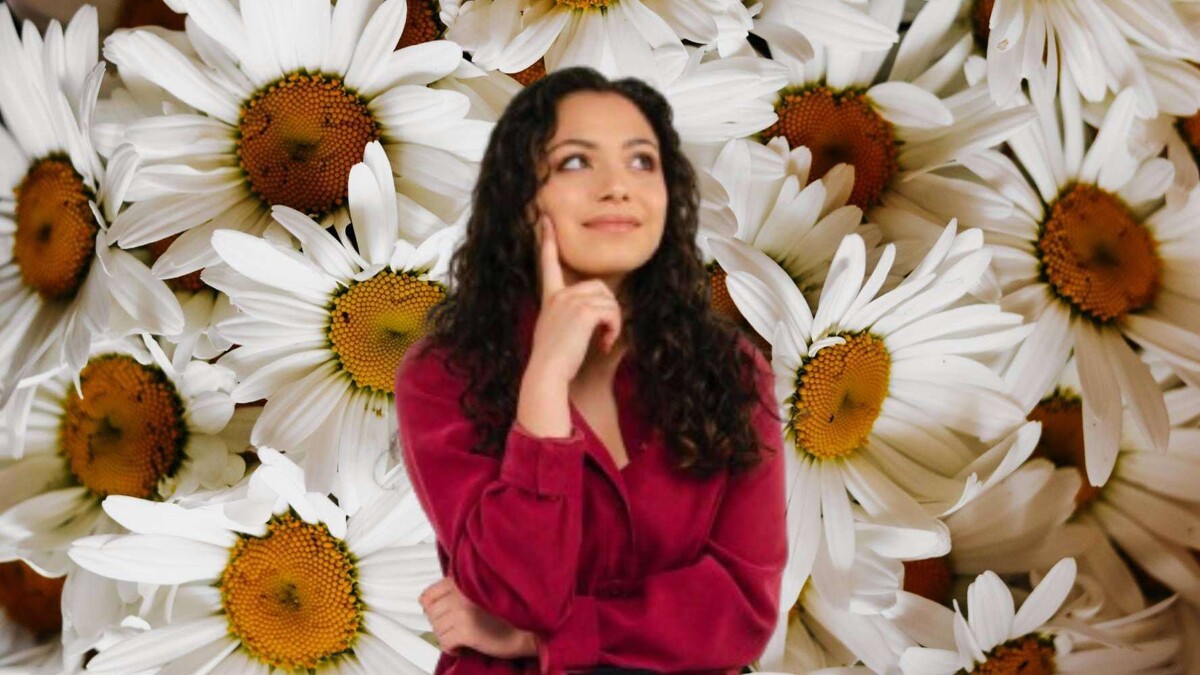 Benefits and Risks of Chamomile